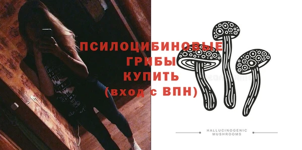 ГАЛЛЮЦИНОГЕННЫЕ ГРИБЫ Пенза