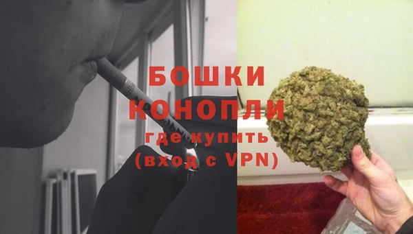ALPHA PVP Киров