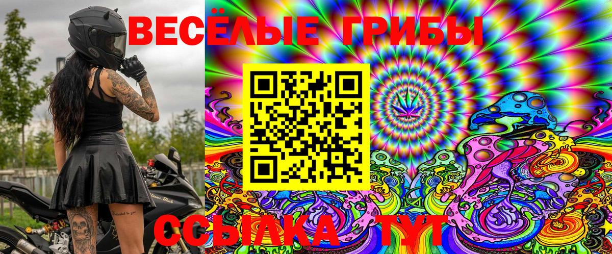 Галлюциногенные грибы GOLDEN TEACHER  Вход с VPN  Псилоцибиновые грибы MAGIC MUSHROOMS  Каспийск 